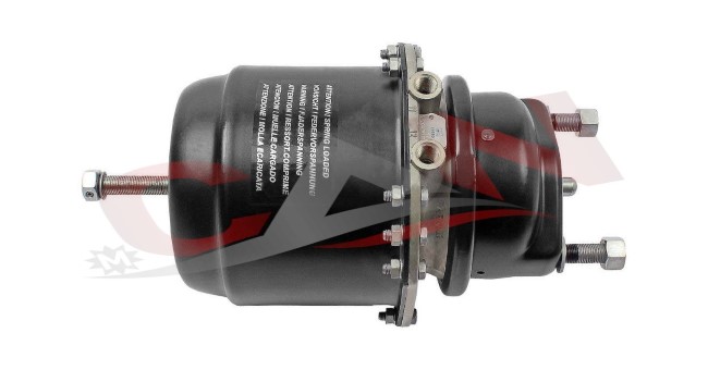 RENAULT - SPRING BRAKE CYLINDER 50 10 251 320